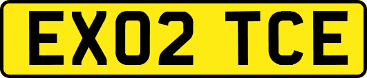 EX02TCE