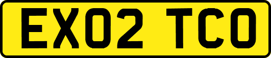 EX02TCO