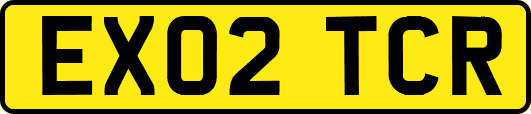 EX02TCR