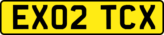 EX02TCX