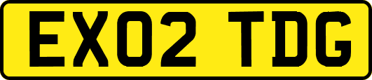 EX02TDG