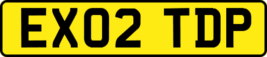 EX02TDP