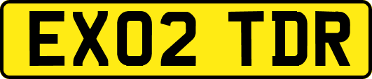EX02TDR