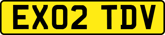 EX02TDV