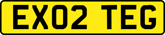 EX02TEG