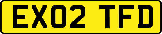 EX02TFD