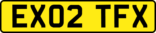 EX02TFX