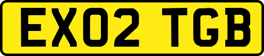 EX02TGB