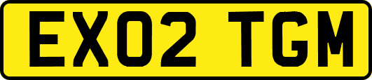 EX02TGM