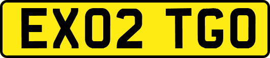 EX02TGO