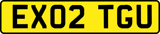 EX02TGU