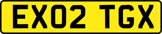 EX02TGX