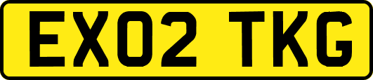 EX02TKG