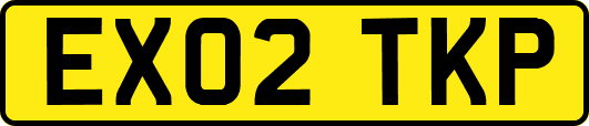 EX02TKP