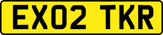 EX02TKR