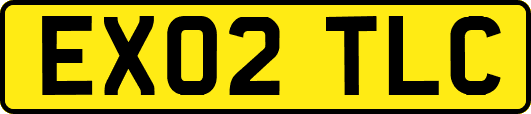 EX02TLC