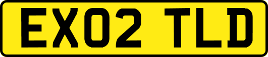 EX02TLD