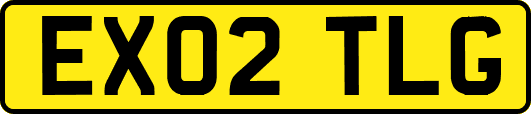 EX02TLG