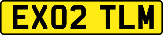 EX02TLM