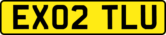 EX02TLU