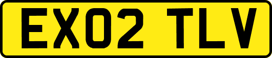 EX02TLV