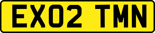 EX02TMN