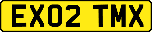 EX02TMX