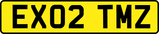 EX02TMZ