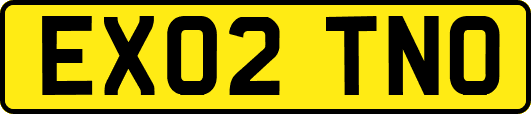 EX02TNO
