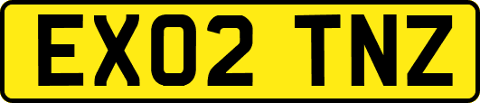 EX02TNZ