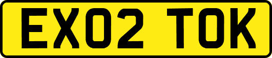 EX02TOK