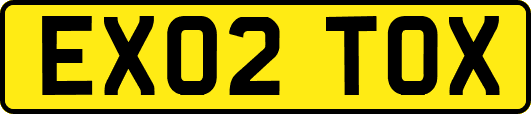 EX02TOX