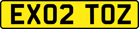 EX02TOZ