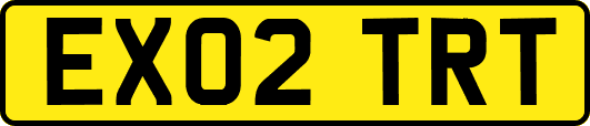 EX02TRT