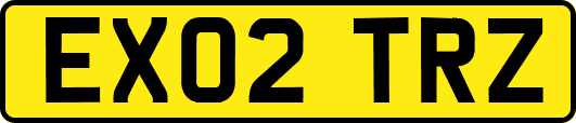 EX02TRZ