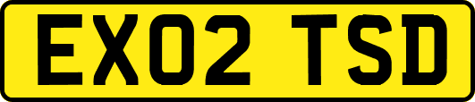 EX02TSD