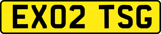 EX02TSG