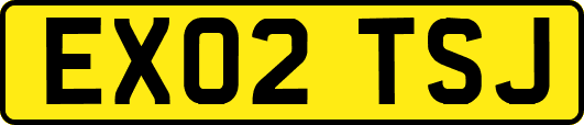 EX02TSJ