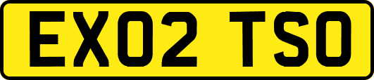 EX02TSO