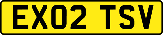 EX02TSV