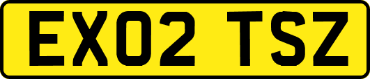 EX02TSZ