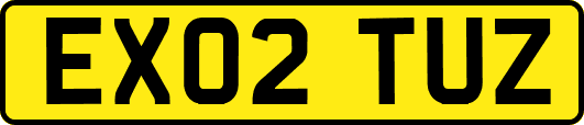 EX02TUZ