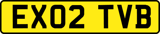 EX02TVB
