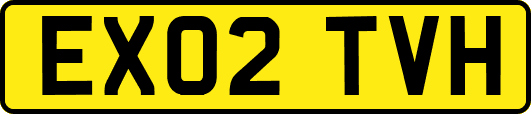 EX02TVH