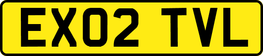 EX02TVL