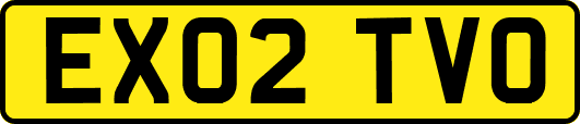 EX02TVO
