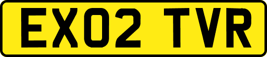 EX02TVR