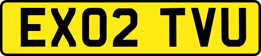 EX02TVU