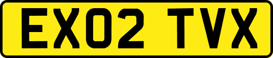 EX02TVX