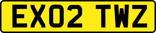 EX02TWZ